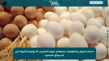 أسعار البيض والبقوليات بسوهاج اليوم الخميس 24 يوليو وتأثيرها على الأسواق المحلية